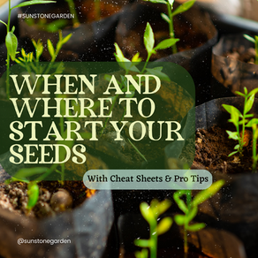 When & Where to Start Your Seeds: (w/ Pro- Tips & Cheat Sheets)