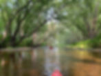 Beavers of the Androscoggin Kayak Tour