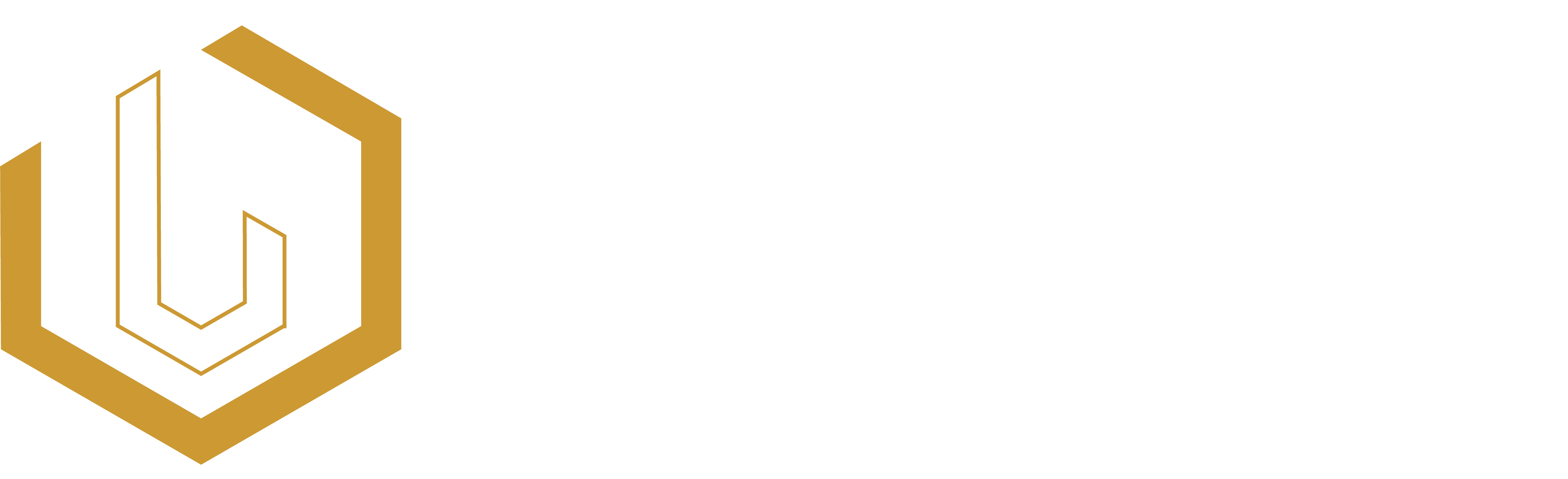 Hook Technologies - Full Logo.png