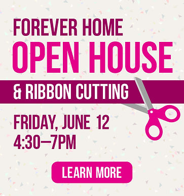 PFF26 Open House web FHpg.jpg