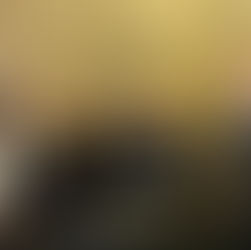 NL police hosts Albanian National Police for sex crimes training