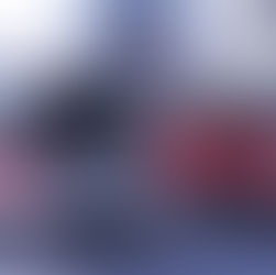 Tinley Wish makes wishes come true