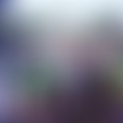 Runners chase the sun in annual race, fitness walk