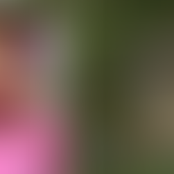 Father of Sema’j Crosby files lawsuit alleging negligence in 2017 death