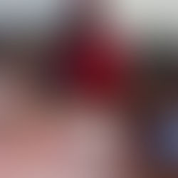 Patriotic pride abound in Romeoville