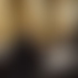 Will County Young Republicans urge voters, candidates to see red