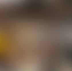 Moose Fest returns to downtown Lockport for fifth year