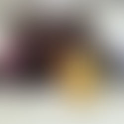 Will County program curbs veteran homelessness