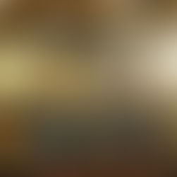 Troy cheerleaders aim for success at Joliet West Competition