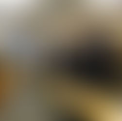 Joliet Fire Department hires first female firefighter