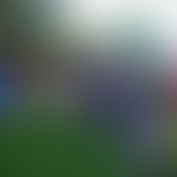 New rules regulating the feeding of wild animals may be imposed in Joliet