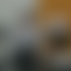 Tinley Park church aims to move the dialogue forward on immigration