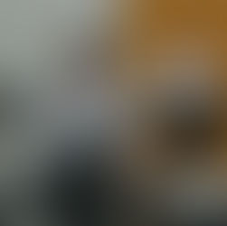 Tinley Park church aims to move the dialogue forward on immigration