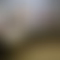 Sugar Grove rolls out 2020-2021 budget proposal