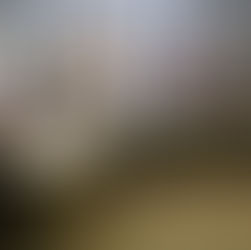 Sugar Grove rolls out 2020-2021 budget proposal