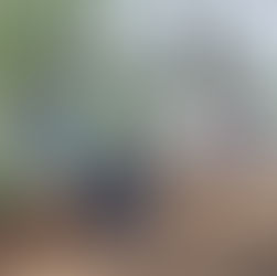 Joliet Park District organic celebrates 5 years of community gardening