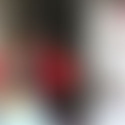 Operation Santa brings holiday cheer to homebound locals