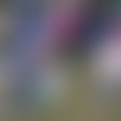 Easter Egg Hunt with Peter Cottontail delivers fun for families