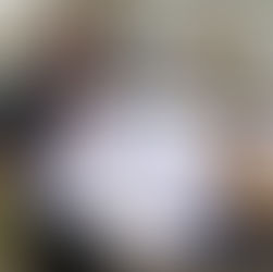 Mokena hosts flag raising to start bicentennial