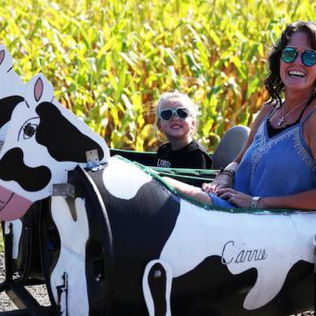 Harvesting a good time: Odyssey Fun Farm embraces autumn season