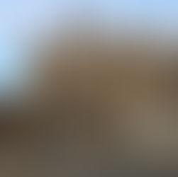 Joliet gets OK from State of Illinois to assess Collins Street prison