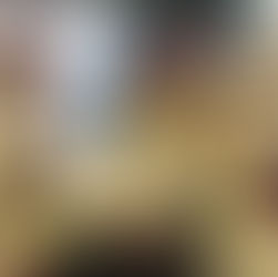 Mokena sparks holiday season spirit at library event