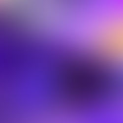 Candlelight Bowl Fundraiser supports LWSRA