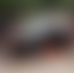 Downers Grove’s Immanuel Youth for Christ prepares for mission trip