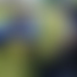 Northbrook seventh-graders learn to test the waters