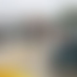 Maple Park Fun Fest brings in crowds despite the rain