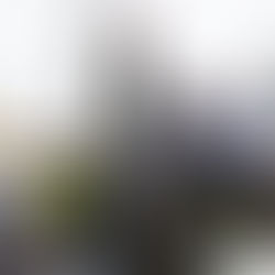 Women’s march withstands weather