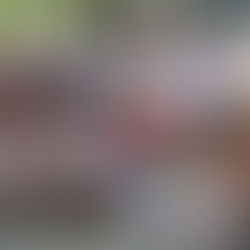 Hundreds turnout in Joliet to protest family separations at border