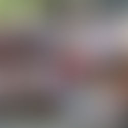 Hundreds turnout in Joliet to protest family separations at border