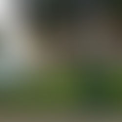 City moves forward with gas station, fate of 1851 house remains unclear