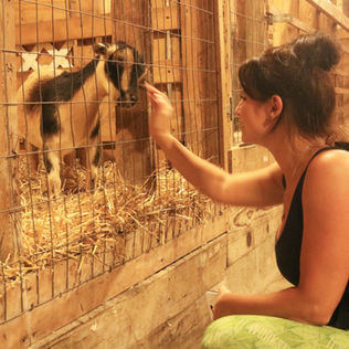 Bengtson Pumpkin Fest opens for 37th year