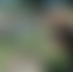 Oktoberfest brings taste of Germany to Joliet