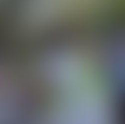 ‘We call it solidarity, not charity’ Immigrant advocacy group seeks donations for COVID-19 relief fu