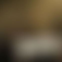 Joliet officials respond to concerns about immigration reform