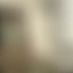 Will County sheriff responds to criticism at public meeting