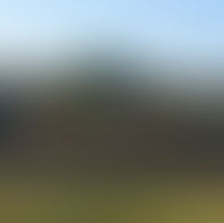 Shorewood Scoot organizers hope to grow race interest