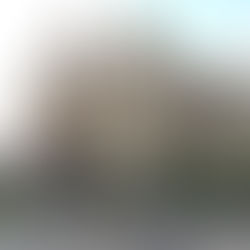 Great Joliet Prison Break-In to open up the joint