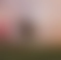 Santa, Elsa and Anna visit New Lenox as Christmas in the Commons kicks off