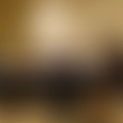 Elgin Community College board candidates focus on finances