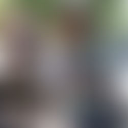 'Reading takes you everywhere': Libraries launch summer programs