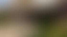 Two candidates removed from Norridge Elementary District 80 ballot