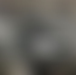 Gun shop regulations get preliminary approval