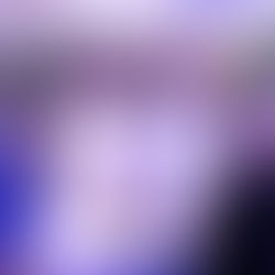 Wurst Fest a celebration of German culture