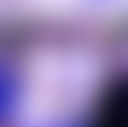 Wurst Fest a celebration of German culture