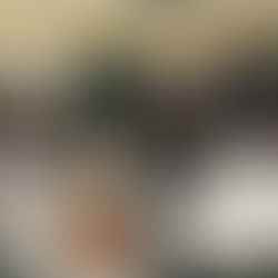 Winter Invitational gives Downers Grove area musicians practical experience, feedback