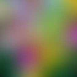 Annual Garden Walk to benefit Joliet Area Community Hospice